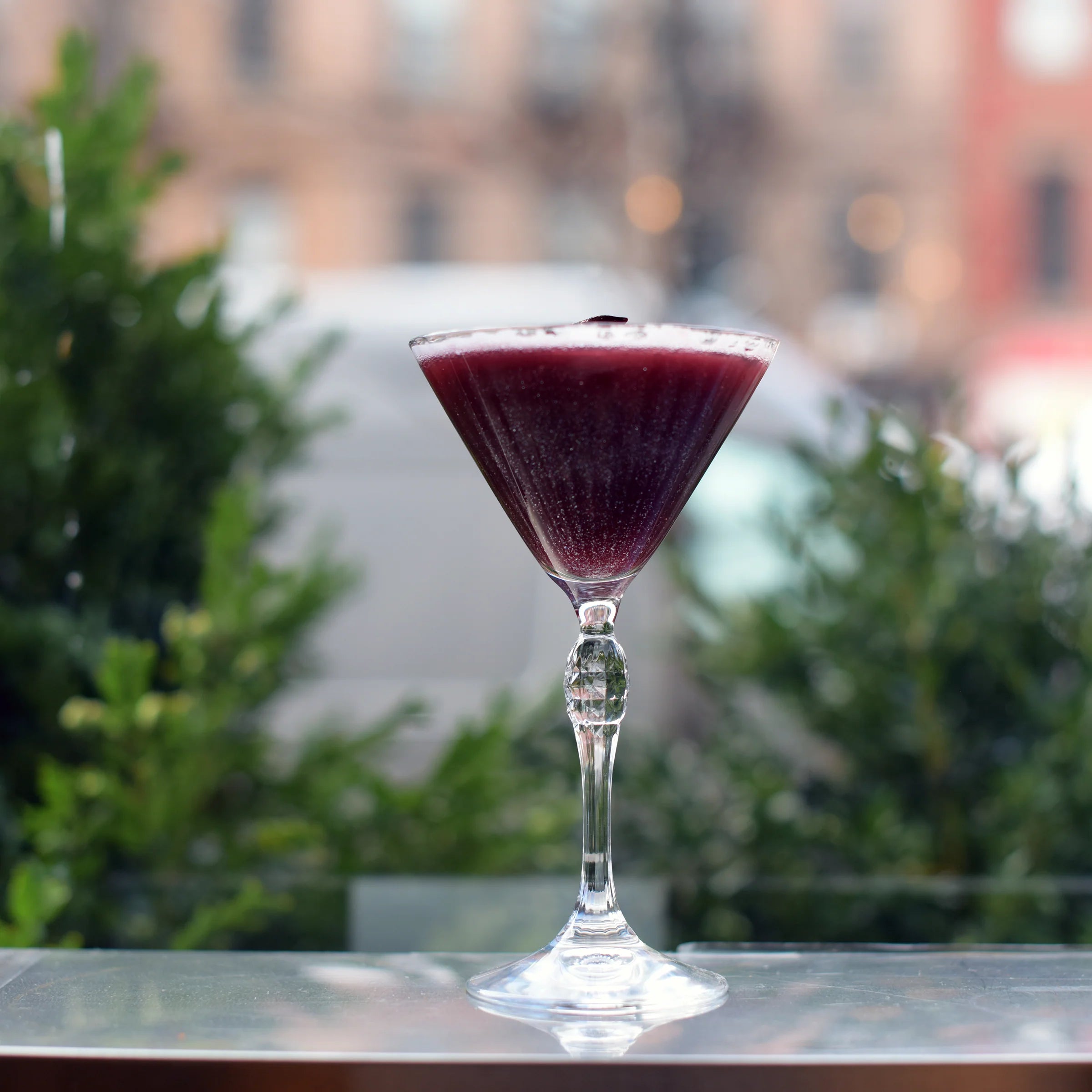 Bormioli Rocco America '20s 22cl Cocktail Coupe (Set of 6)