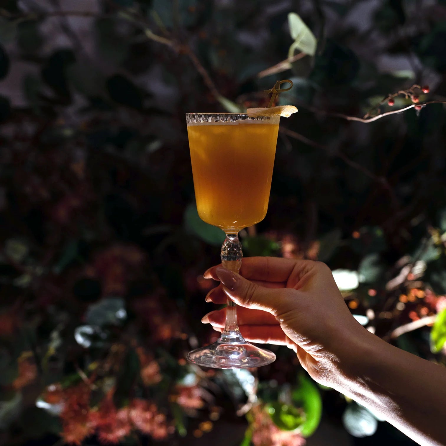 Bormioli Rocco America '20s  25cl Cocktail Glasses (Set of 6)