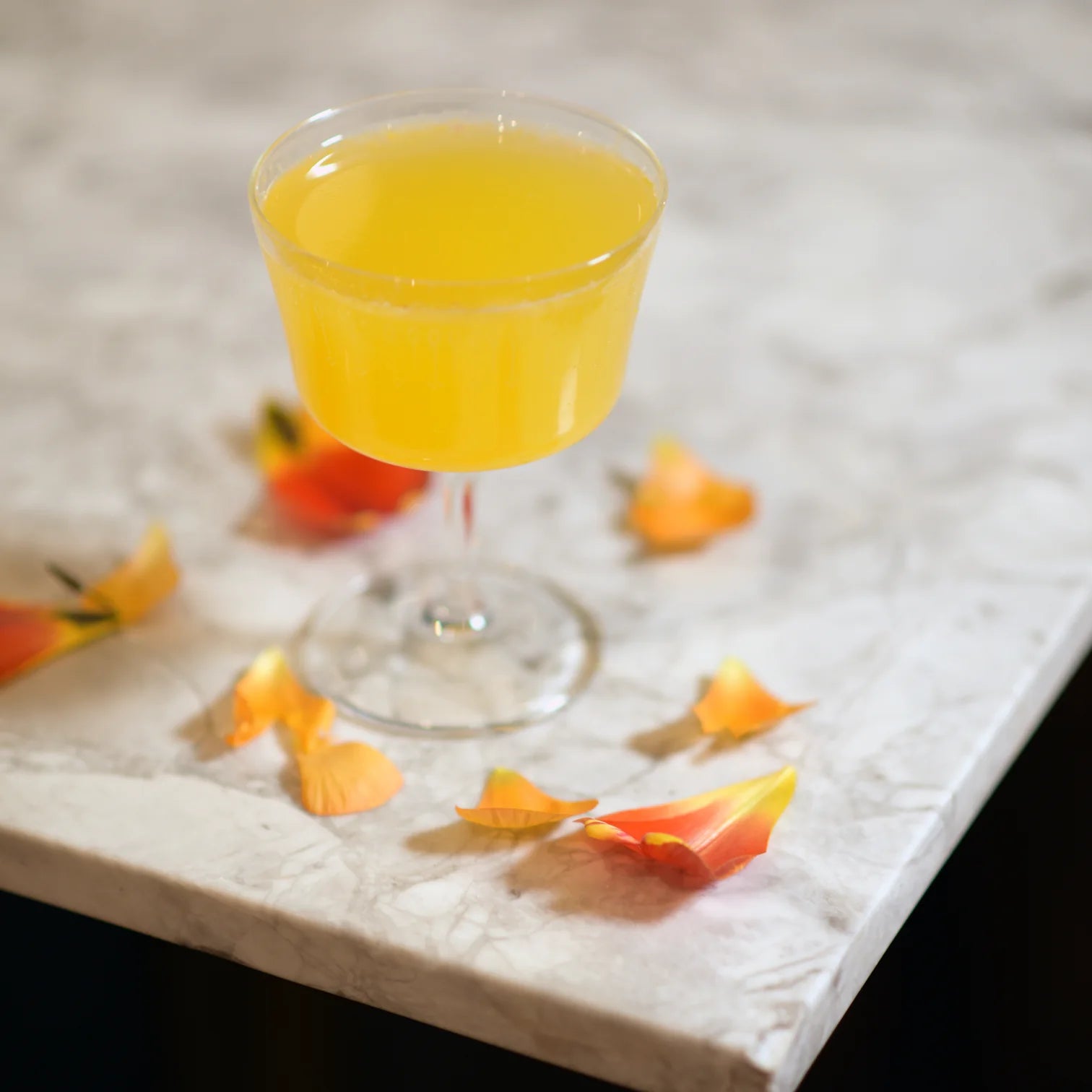 Bormioli rocco Bartender 22cl Novecento Fizz Cocktail Glasses (Set of 6)