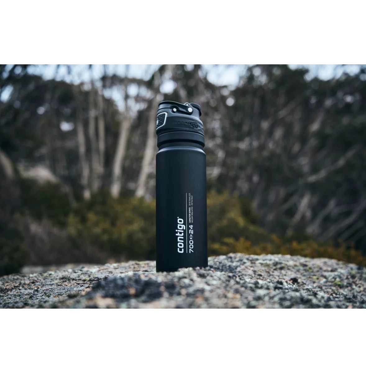 Contigo Free Flow AUTOSEAL™ Vacuum-Insulated Water Bottle, 700 ml (Black)