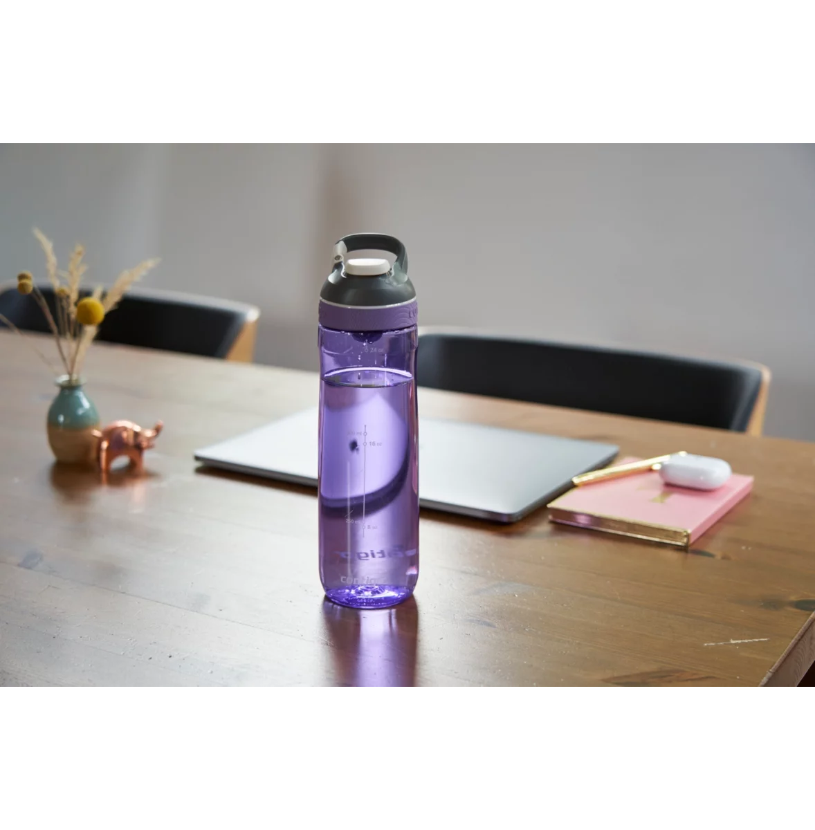 Contigo Cortland AUTOSEAL™ Water Bottle, 720 ml (Grapevine)